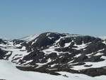 Veggine