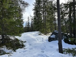 Gardfangåsen