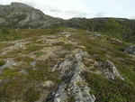 Kvammafjellet sør