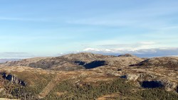 Storheia i Åfjord