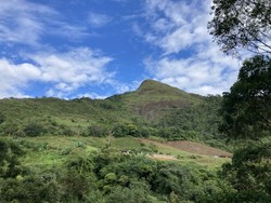Chapéu de Bruxa