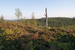 Grasberget