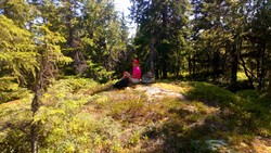 Nordklofjellet