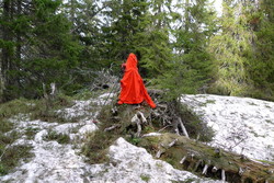 Sjuråsen
