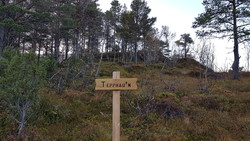 Tipphaugen