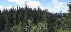 Omsrudkollen