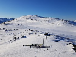 Salfjellet