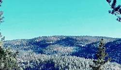 Linfjell