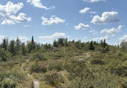 Gullberghøgda