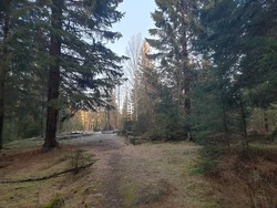 Trollhaug