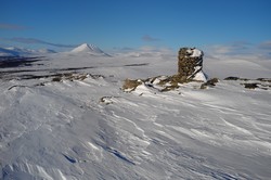 Gråhøgda