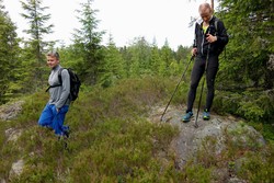 Halvorsrudhøgda