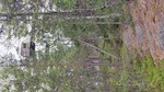 Rundkoll