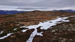 Skorseteggi Sør