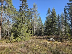 Prestmarka Nordøst