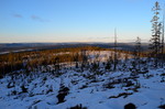 Borveggen