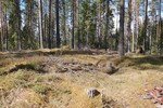 Gjesåsberget