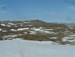 Pjåkavassheia