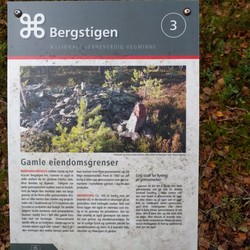 Bergstigen vegminne
