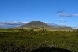 Gråhøgda
