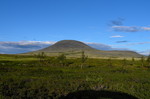 Gråhøgda