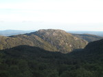 Vassnuten