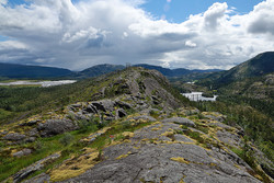 Roparvikheia