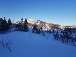 Gjøringebøfjellet