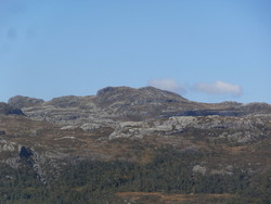 Sandsaskarnuten