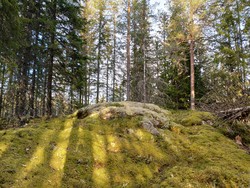Vasketjennhøgda