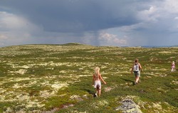 Dusetind