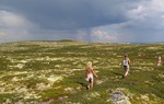 Dusetind