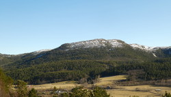 Vardheia