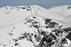 Høghornet