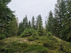 Nilsåsen