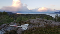 Åneslia