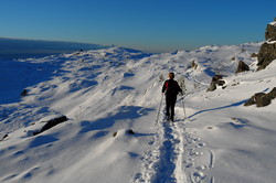 Lågfjellet sør