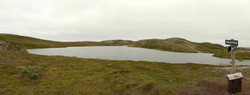 Skalltjønna