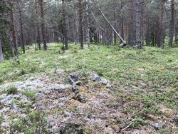 Raudkasthøgda