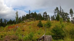 Hesjabakkollen slutt på vei