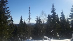 Oppegårdskollen