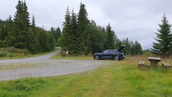 Elghøgde p-plass