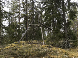 Kolmyrhaugen