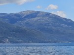 Storahorga