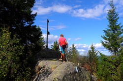 Kikut