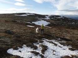 Svartdalsfjellet