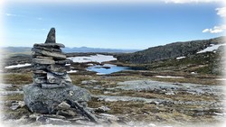 Olsøyheia