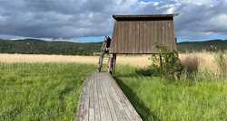 Fugletårnet ved Børsesjø