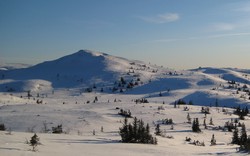 Skinnatten