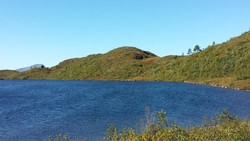 Grønlivatnhaugen